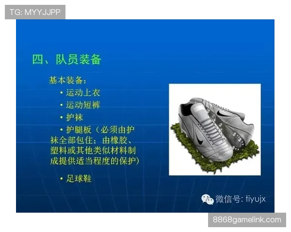 足球中不当行为的判罚标准及裁判执行细节解析